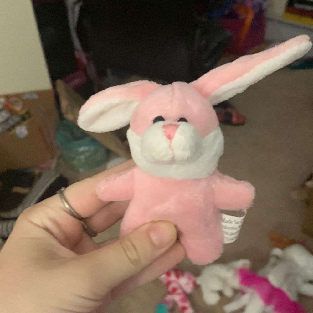 bunny stuffy